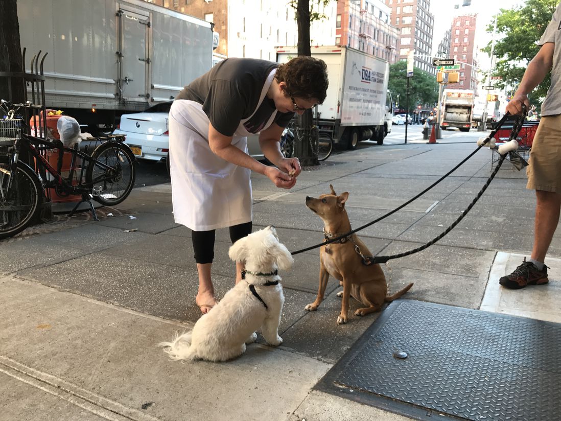 Pam Weekes feeds the first doggies to visit the new store <br>(Jen Chung / Gothamist)
